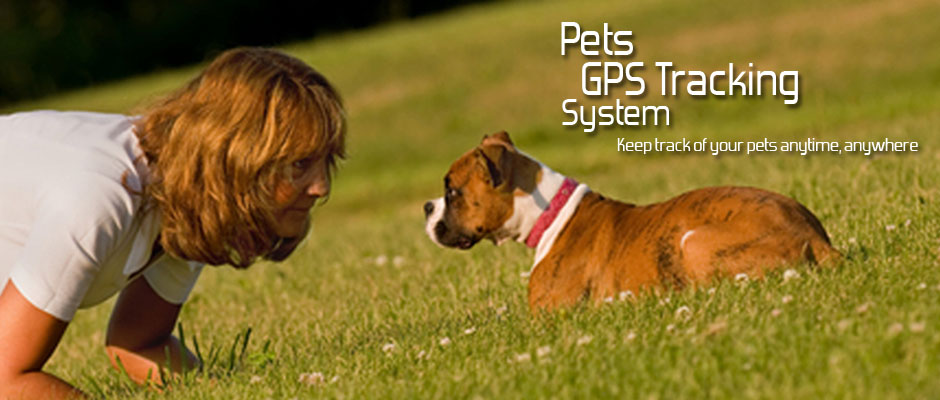 Pet_Tracking_Device
